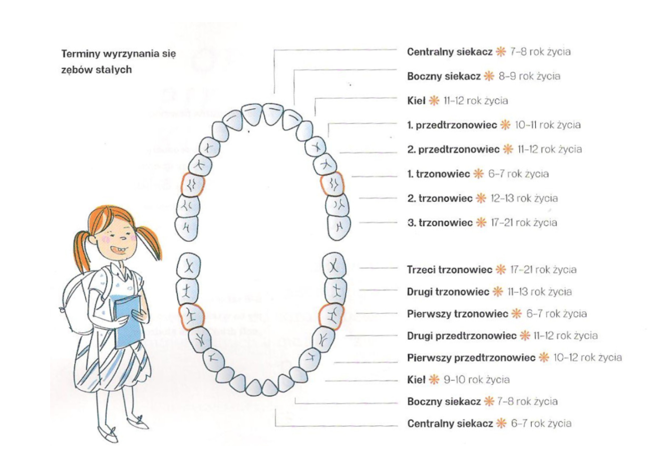 Kiedy wyrzynają się zęby u dzieci